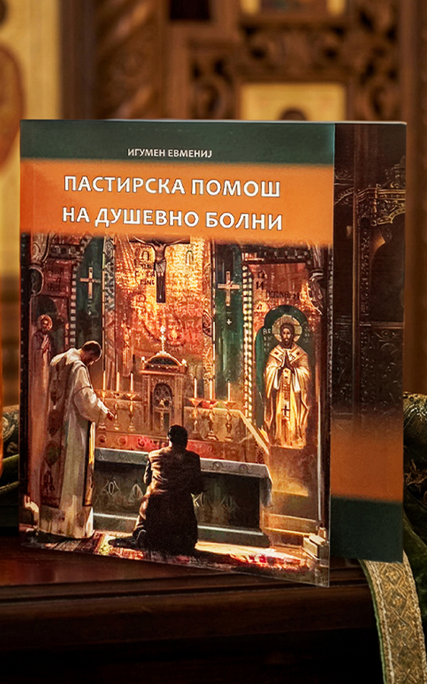 Пастирска помош за душевно болни